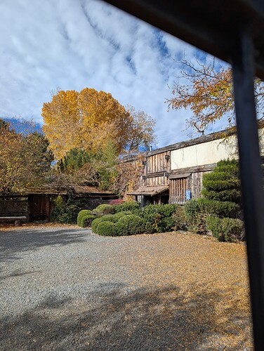 PXL_20251102_174743522