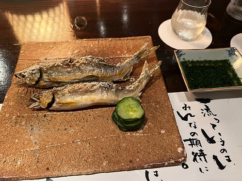 4A7A3715-7268-4D6D-BA62-CF8371A99136_1_102_o