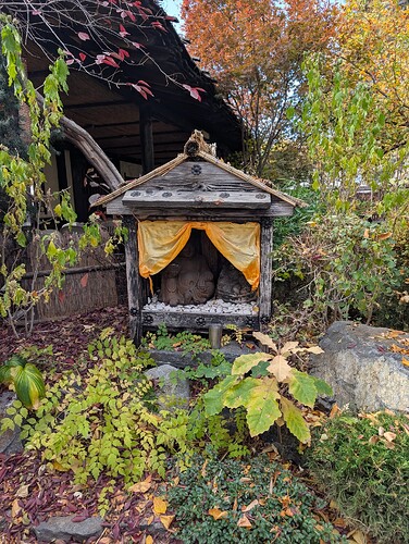 PXL_20251102_185125092