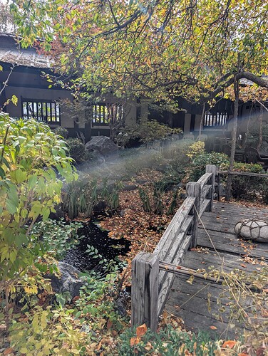 PXL_20251102_185102256