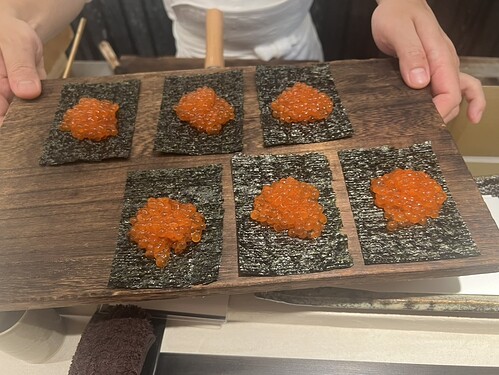 2A8660B2-CDF8-4418-8699-E6A7E5819F43_1_105_c