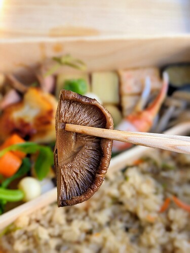 hayato_bento_box_00100lrPORTRAIT_00100_BURST20200801150752243_COVER