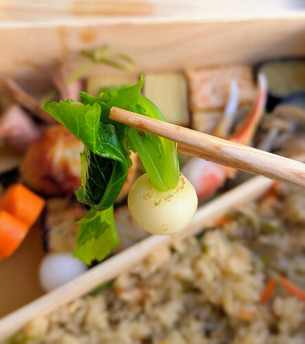 hayato_bento_box_00100lrPORTRAIT_00100_BURST20200801150737046_COVER