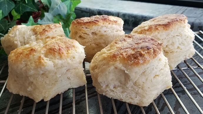 Buttermilk Biscuits