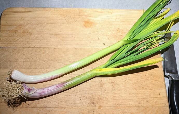 garlic