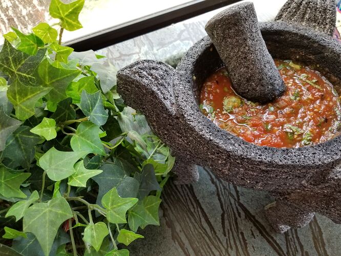 Molcajete II