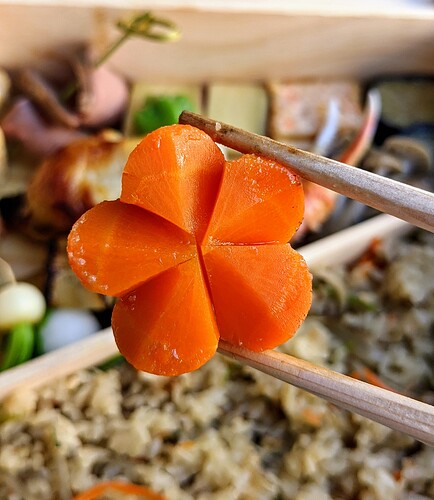 hayato_bento_box_00000IMG_00000_BURST20200801150652782_COVER