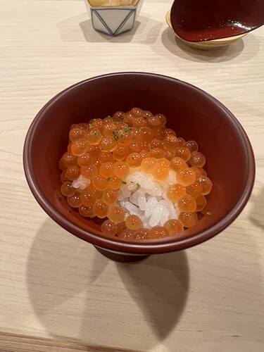 6EED6C3C-A4B1-47A6-95F5-E468A617370E_1_105_c