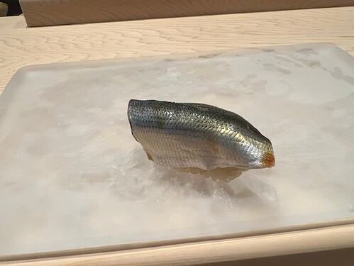 21ECB2B2-3FC3-49DD-9AF3-CE54A9C6BA4F_1_102_o