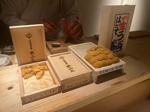 A13EF72B-A6A4-4545-9752-9E8F096AFBF4_1_105_c