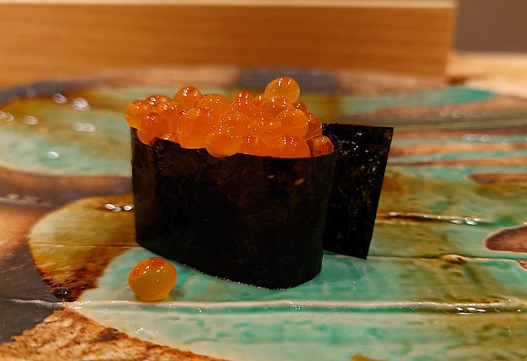 48 DSC_6037